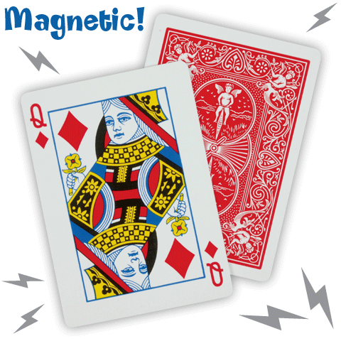 (image for) Magnetic Cards - 2 Cards